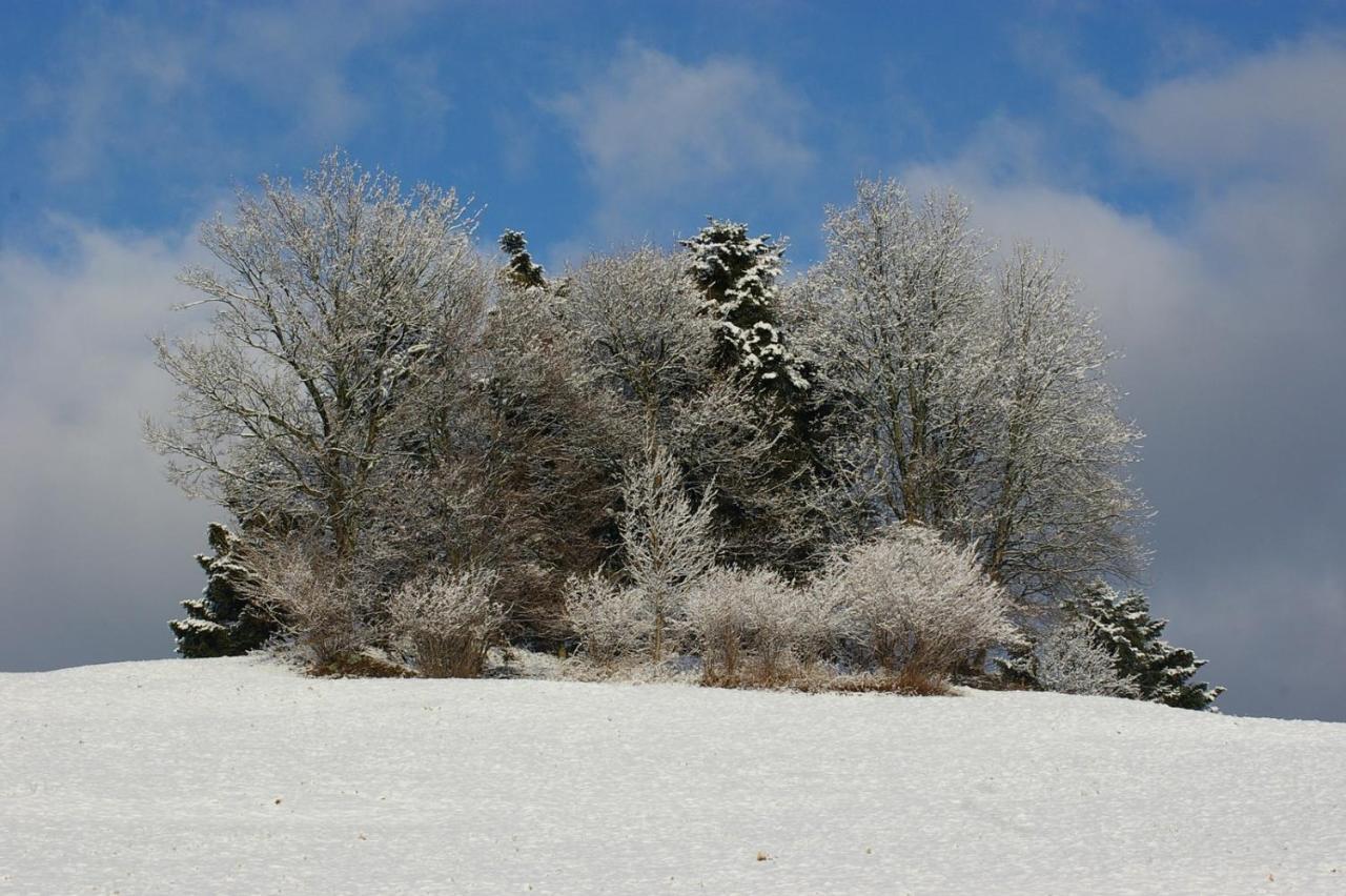 Chez Christian Lägenhet Breitenbach-Haut-Rhin Exteriör bild