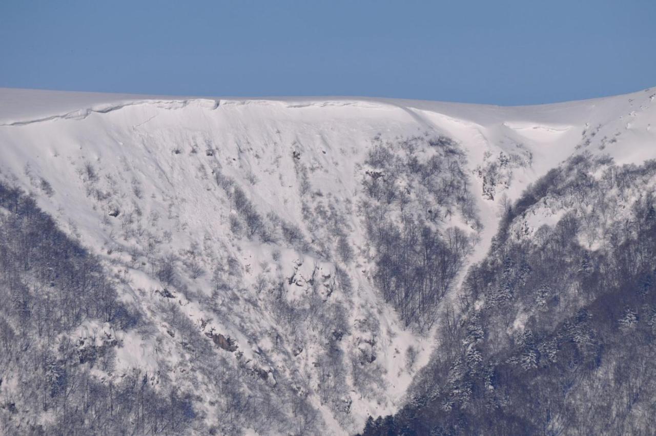 Chez Christian Lägenhet Breitenbach-Haut-Rhin Exteriör bild