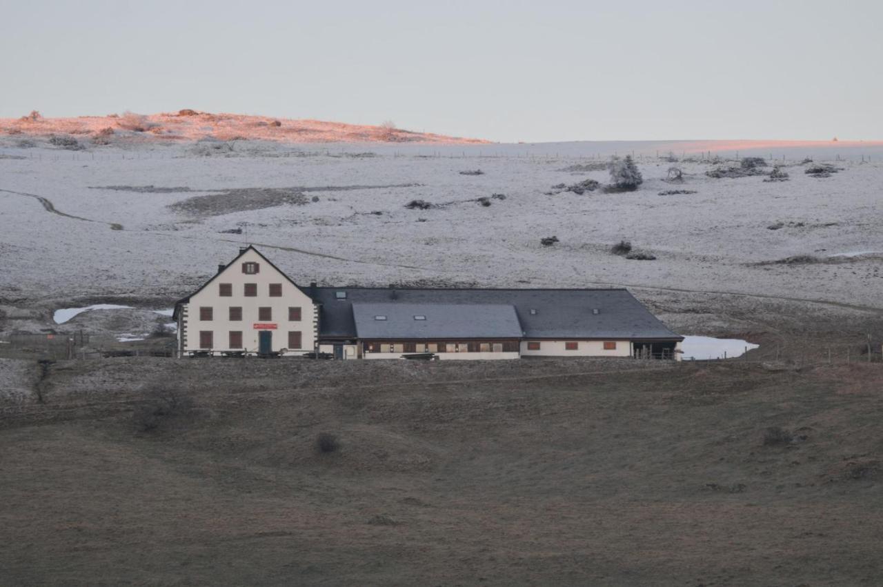 Chez Christian Lägenhet Breitenbach-Haut-Rhin Exteriör bild